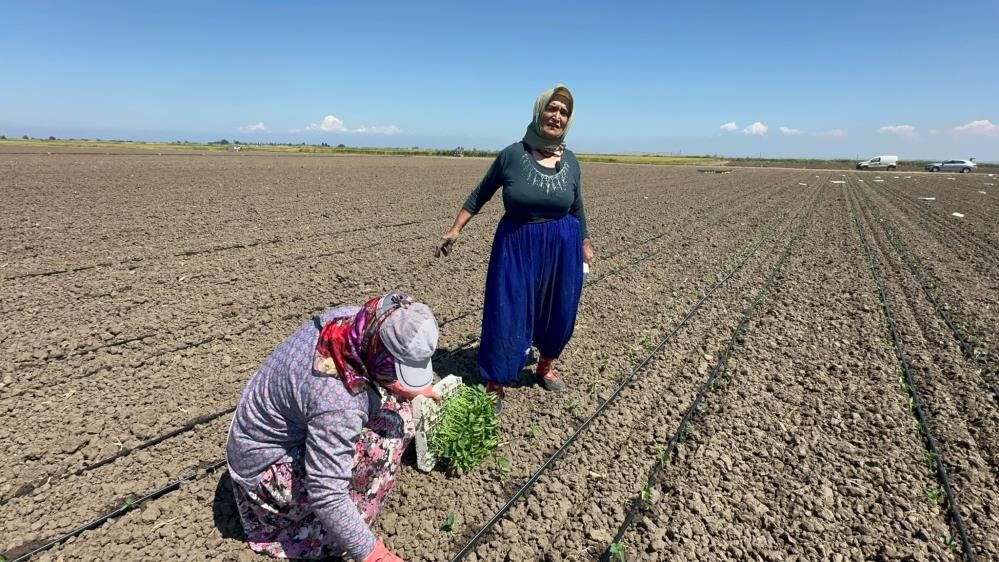 70 Yasinda 8 Platinle Capa Yapiyor Azmin Adi Fatma Teyze (2)