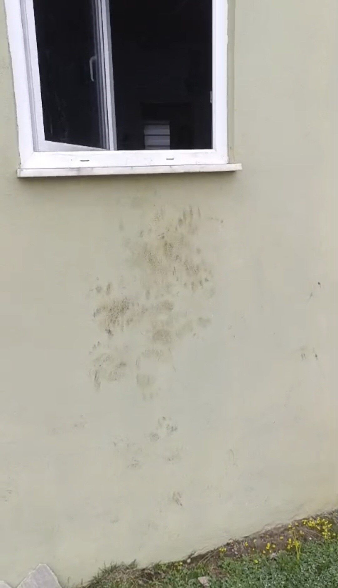 Bir Gunde 20 Eve Giren Ayi Yayla Sakinlerini Canindan Bezdirdi (2)
