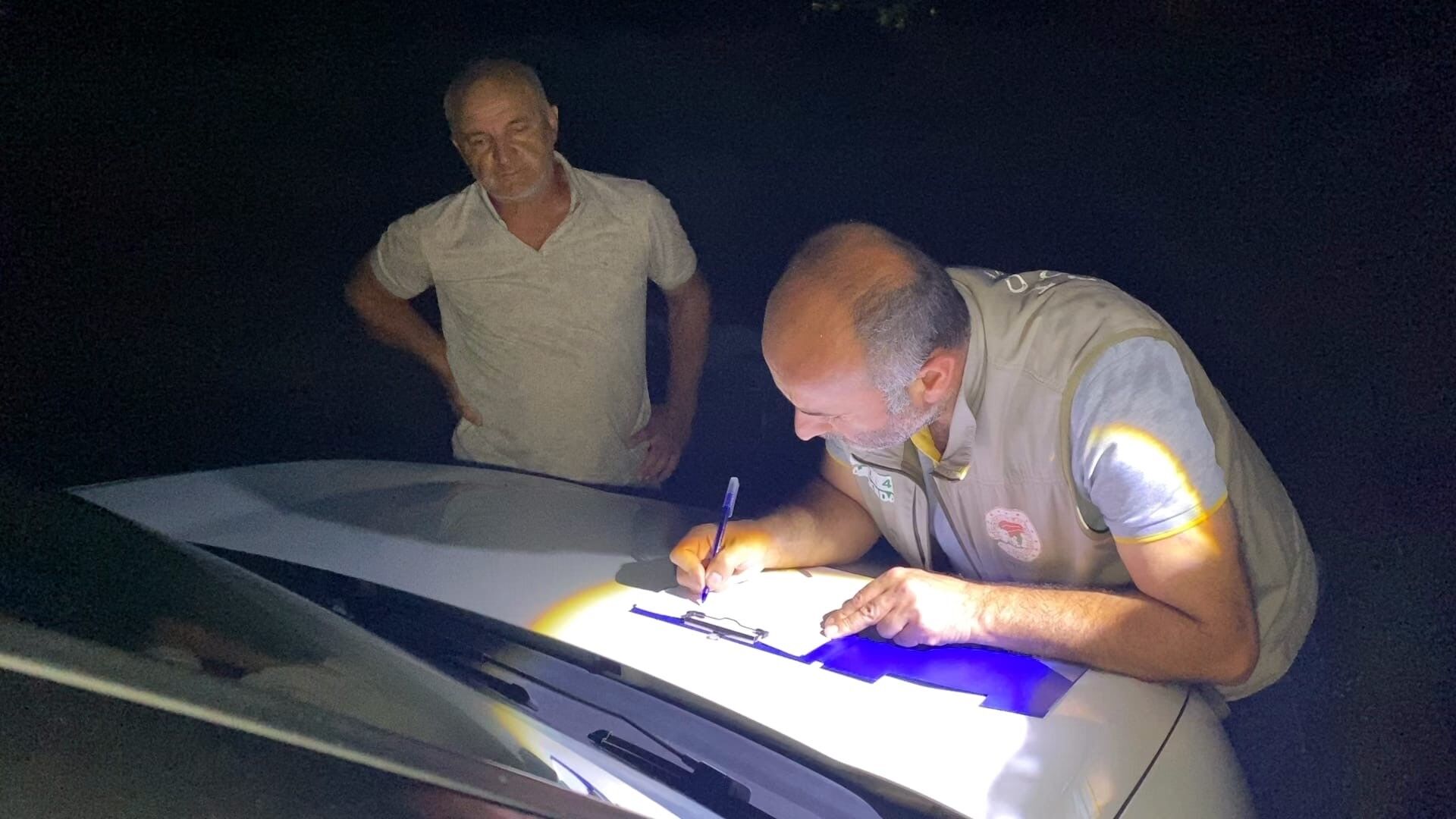 Bursada Yildirim Dehseti Agacin Altindaki 6 Hayvan Telef Oldu (2)