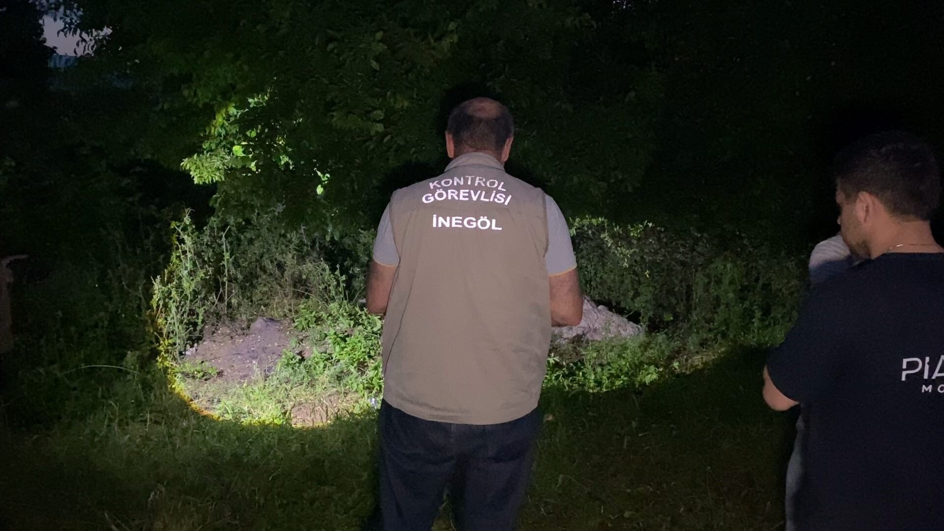 Bursada Yildirim Dehseti Agacin Altindaki 6 Hayvan Telef Oldu (3)