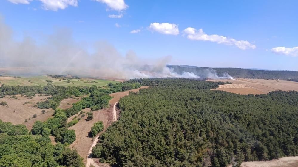 Canakkalede Korkutan Yangin Tarim Arazisinden Ormanlik Alana Sicradi (2)
