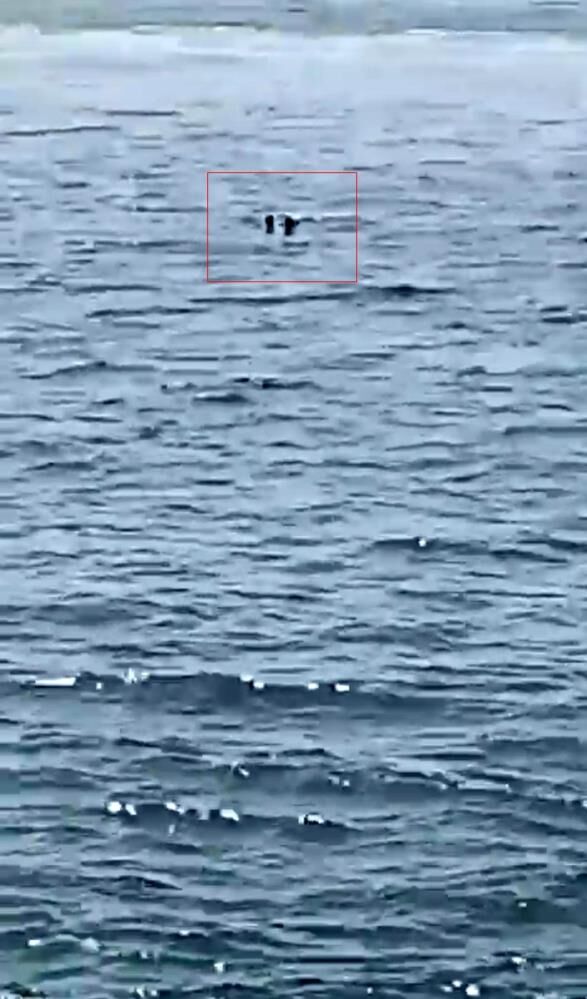 Feribottan Denize Dusen Kisiye Bufe Calisanindan Hayat Kurtaran Mudahale (1)-1