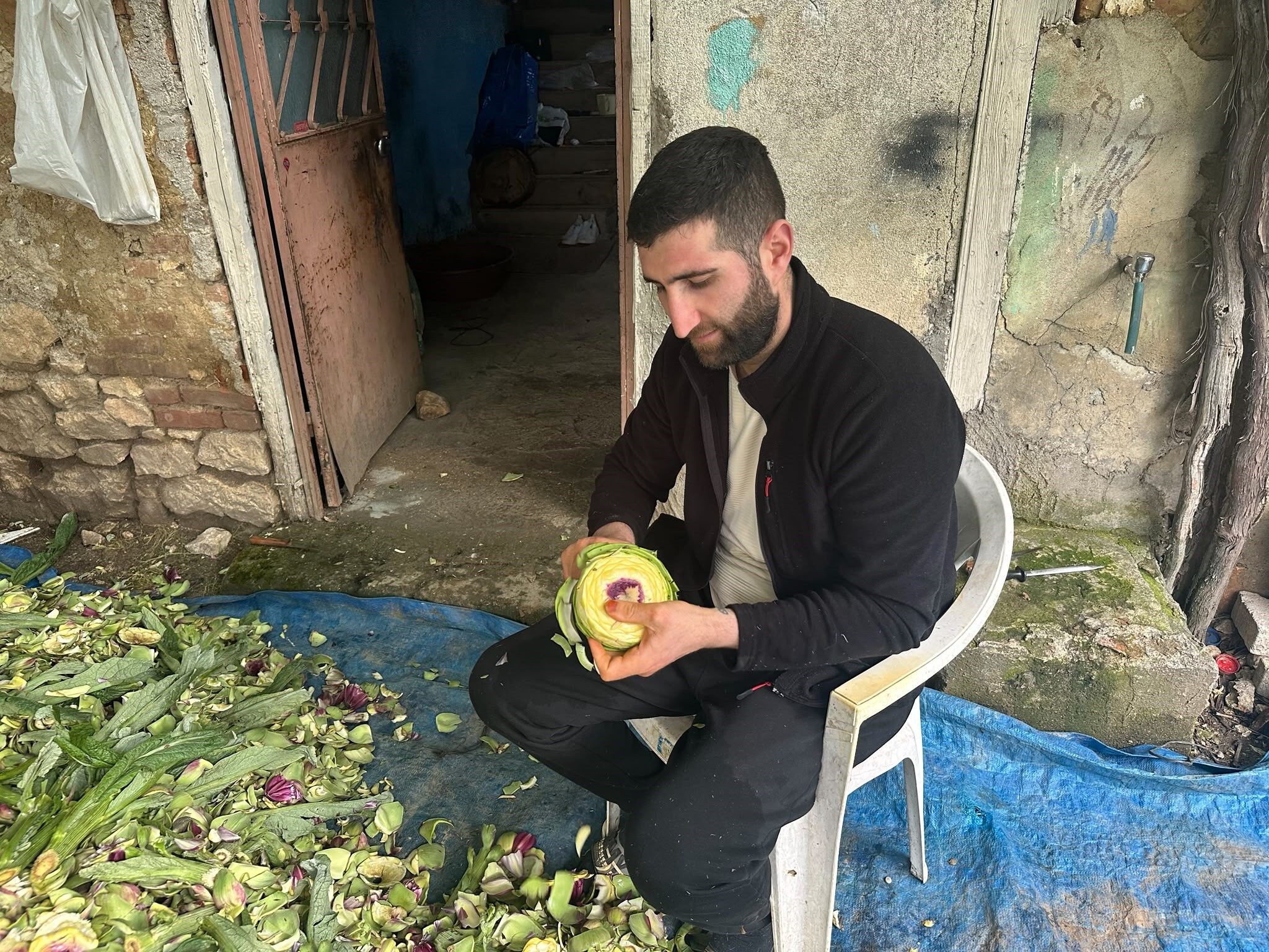 Gunde Bin Enginar Ayda 240 Bin Lira Bu Meslegi Duyan Sasiriyor (3)