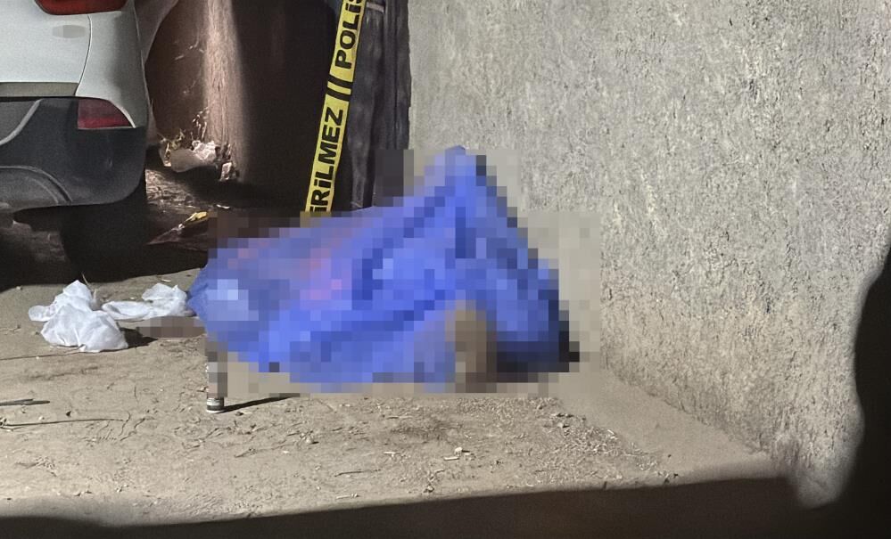 Kardes Kavgasi Cinayetle Bitti Kira Geliri Tartismasi Kanli Sonuclandi (5)