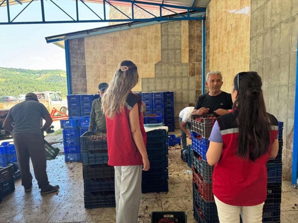 Manisa Bağ Ve Kiraz (4)