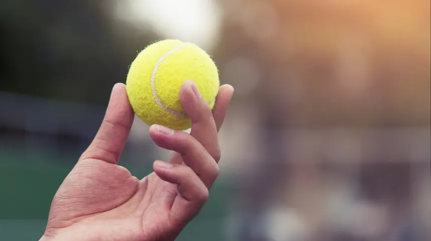 Ne Pasaport Ne Sarj Aleti Uzmanlara Gore Seyahatin En Onemli Esyasi Tenis Topu (3)