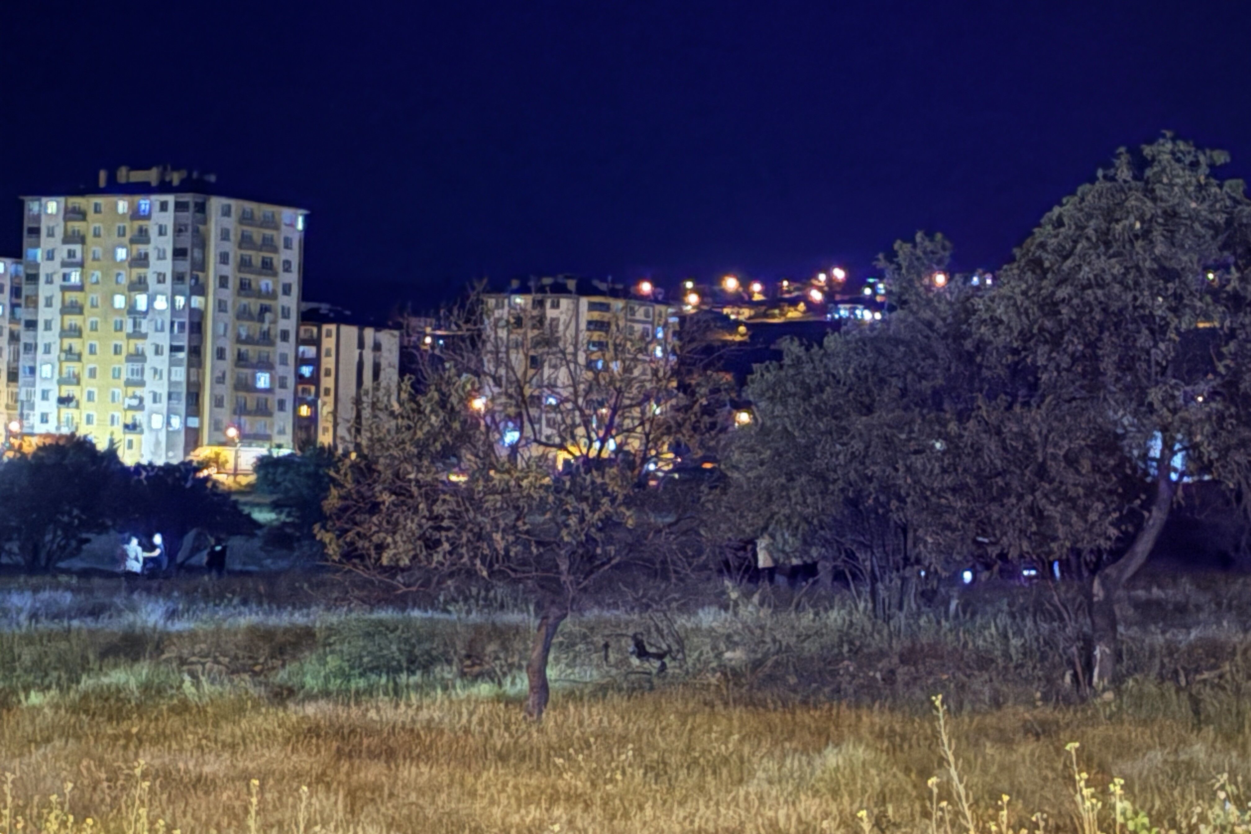Sizleri Seviyorum Hakkinizi Helal Edin Bos Arazide Kahreden Veda Notu (2)