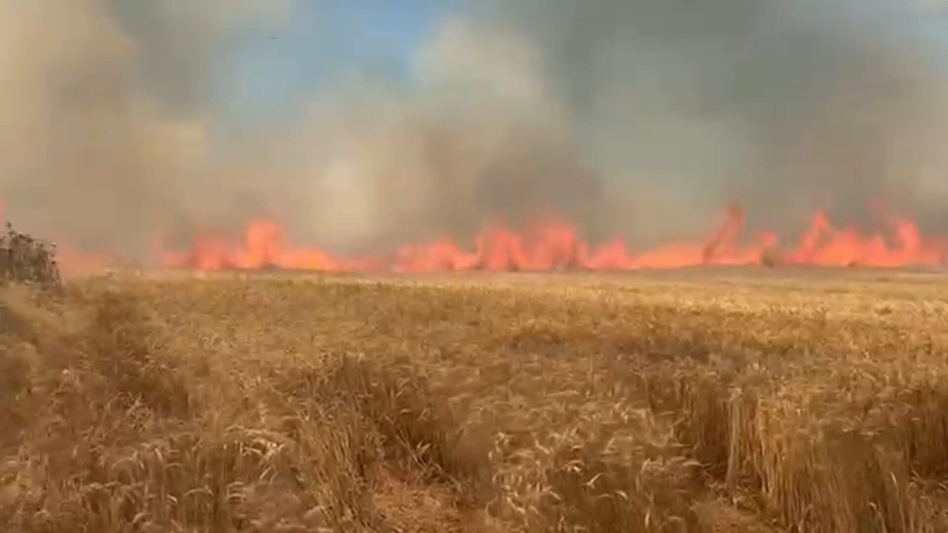Tarlada Felaket Bir Anlik Dikkatsizlik 100 Dekar Araziyi Kul Etti (6)