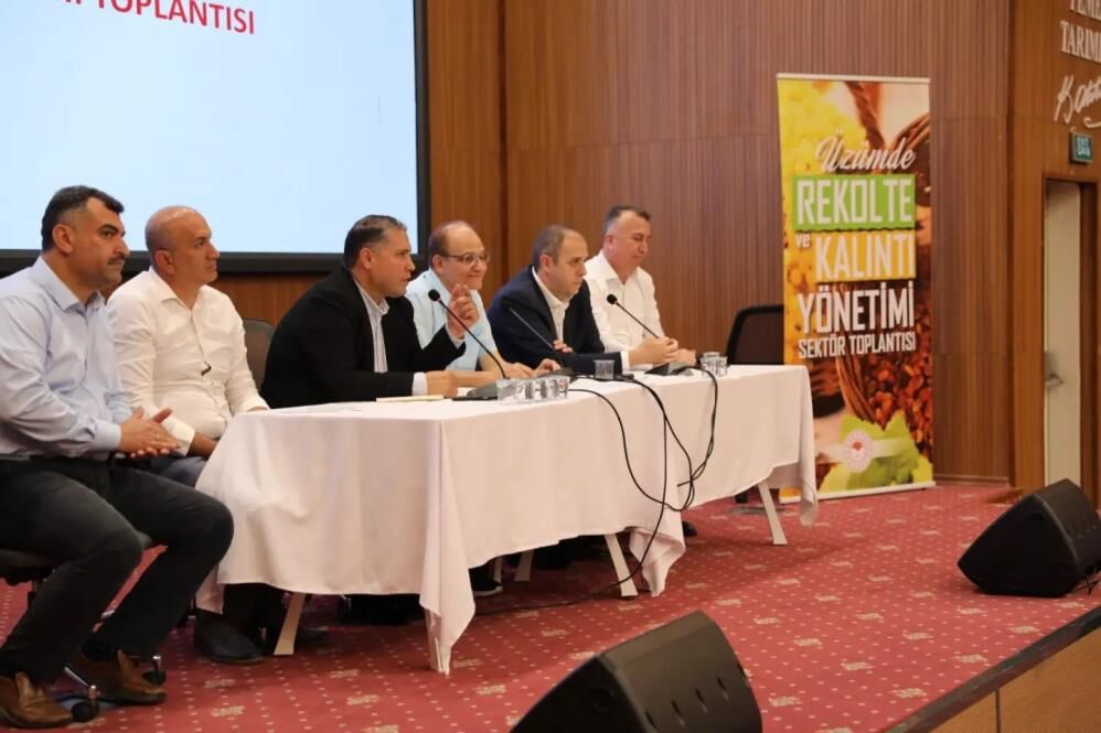 Yuksek Rekolte Beklentisi Gozler Tmonun Aciklayacagi Fiyatta (1)