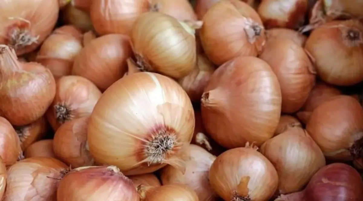 75 Tlyi Goren Soganin Ardindan Yeni Zam Sinyali Sirada Patates Var (1)