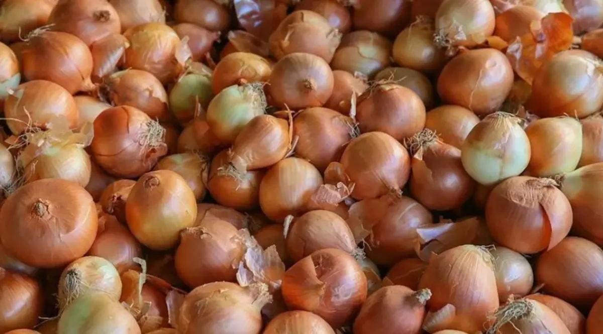 75 Tlyi Goren Soganin Ardindan Yeni Zam Sinyali Sirada Patates Var (2)