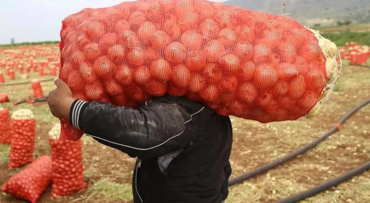 75 Tlyi Goren Soganin Ardindan Yeni Zam Sinyali Sirada Patates Var (4)