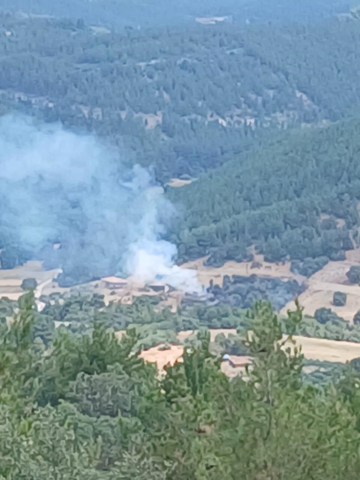 Ahir Yangini Ormana Sicradi Felaket Son Anda Onlendi (2)