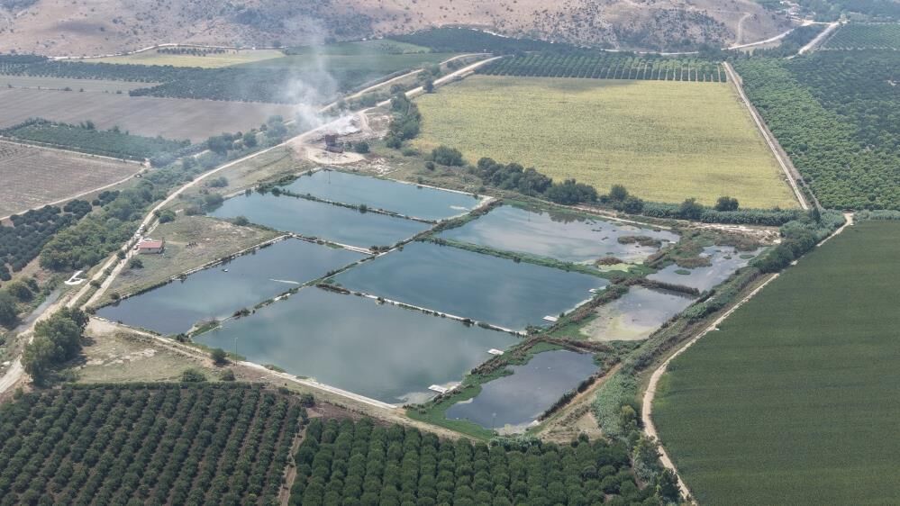 Bir Aydir Yanan Copler Bitmeyen Koku Mahallede Yasam Kabusa Dondu (5)
