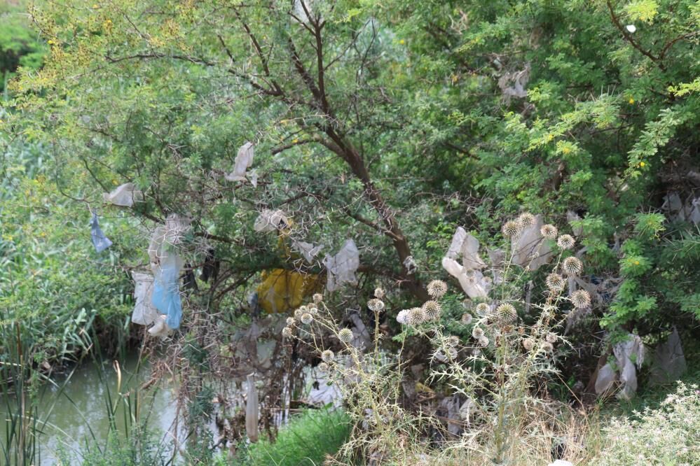 Bir Aydir Yanan Copler Bitmeyen Koku Mahallede Yasam Kabusa Dondu (6)