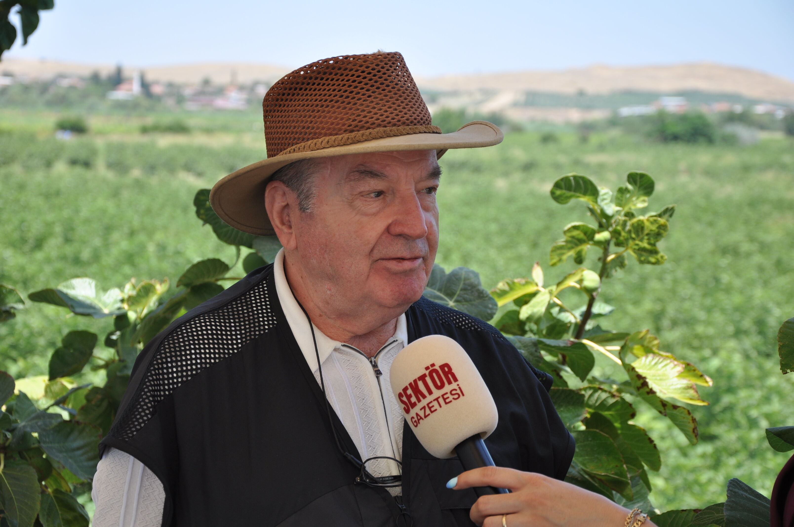 Cherry Fig Hasat Şenliği Başladı! İncirler Görücüye Çıktı (14)