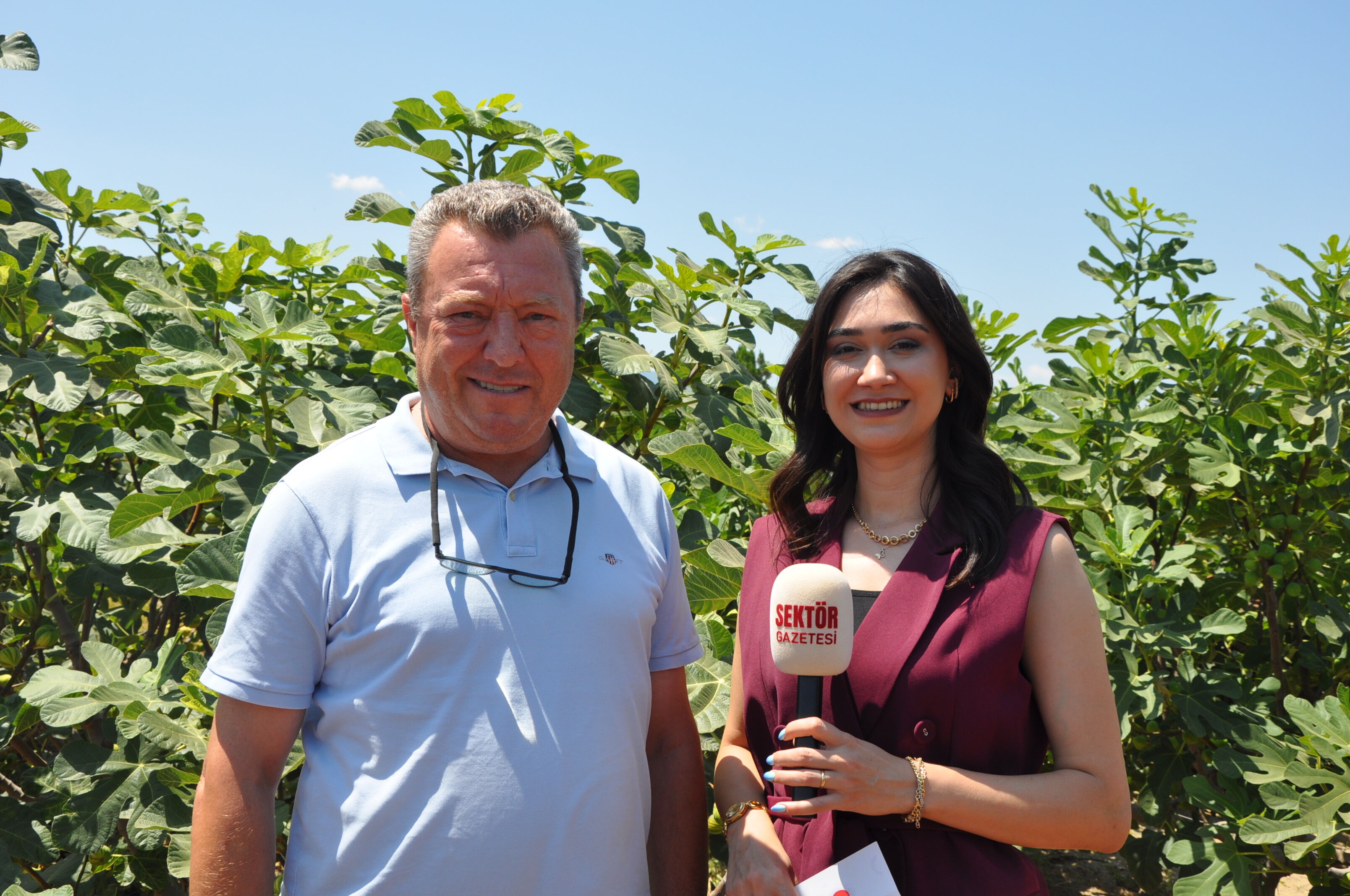 Cherry Fig Hasat Şenliği Başladı! İncirler Görücüye Çıktı (7)