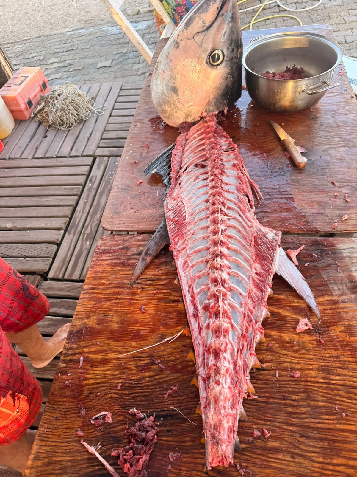 Dev Mucadele Tam 1 Metre 82 Santim Boyunda Ve Tam 65 Kilo (1)-1