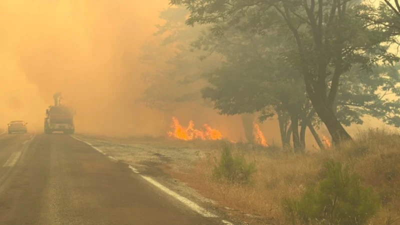 Gomec Yangininda Flas Gelisme Alevlerin Cikis Nedeni Belli Oldu 2 Kisi Tutuklandi (2)