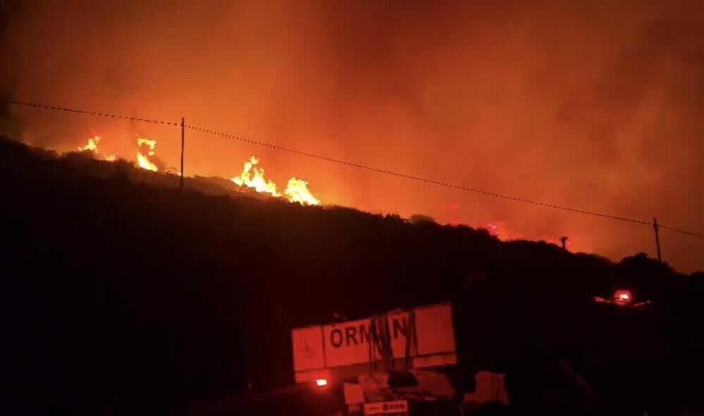 Izmir Dikilide Yangin Alarmi Ekipler Seferber Oldu (2)