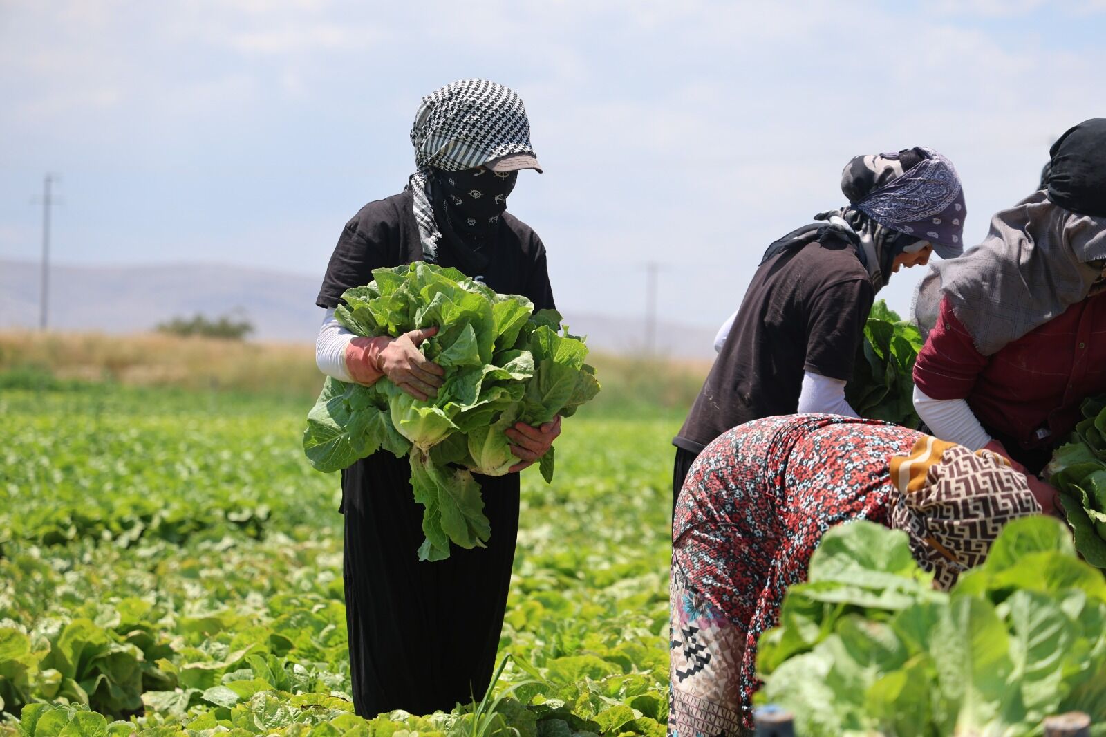 Üretici Isyan Etti! Tarlada Satılmıyor, Markette Cep Yakıyor (3)