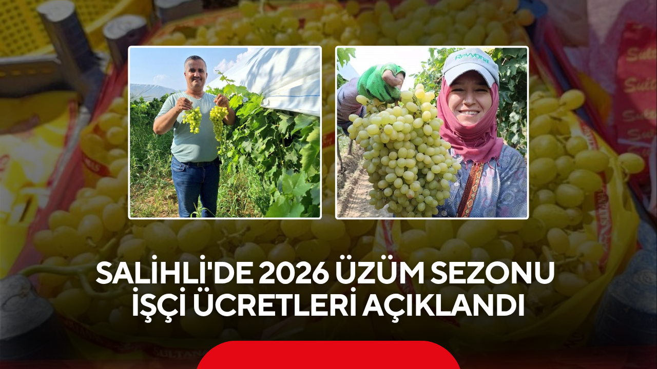 Salihli'de 2026 Üzüm Sezonu İşçi Ücretleri Açıklandı