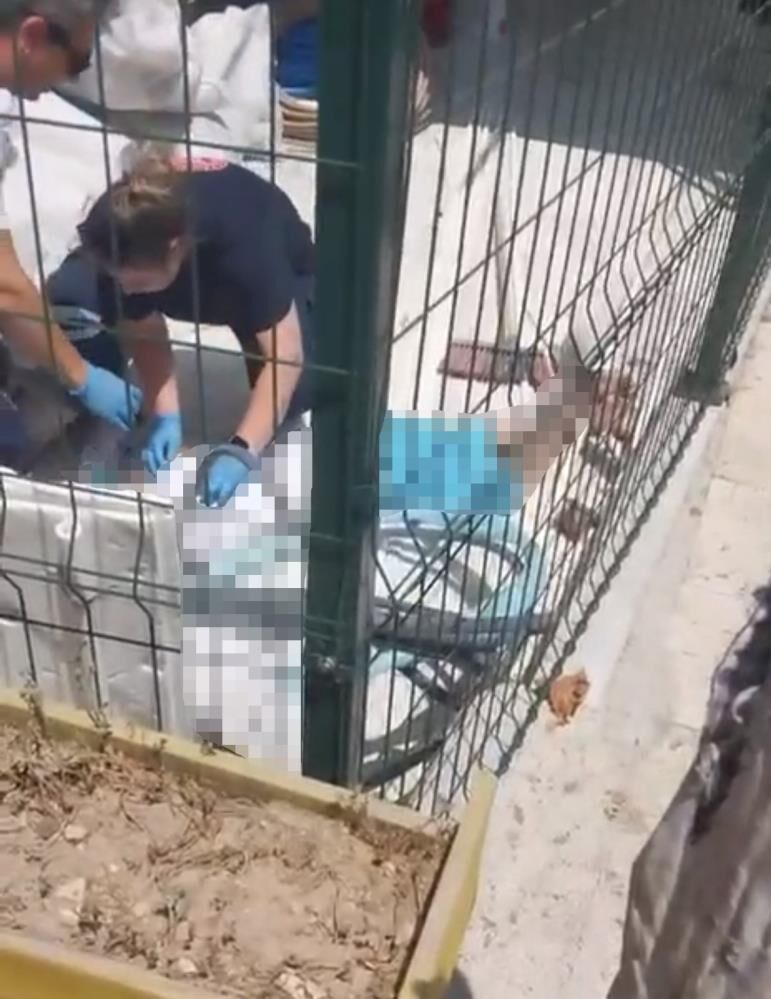 Yari Ciplak Sokaga Cikan Kadin Daha Sonra 3 Kattan Atladi (3)