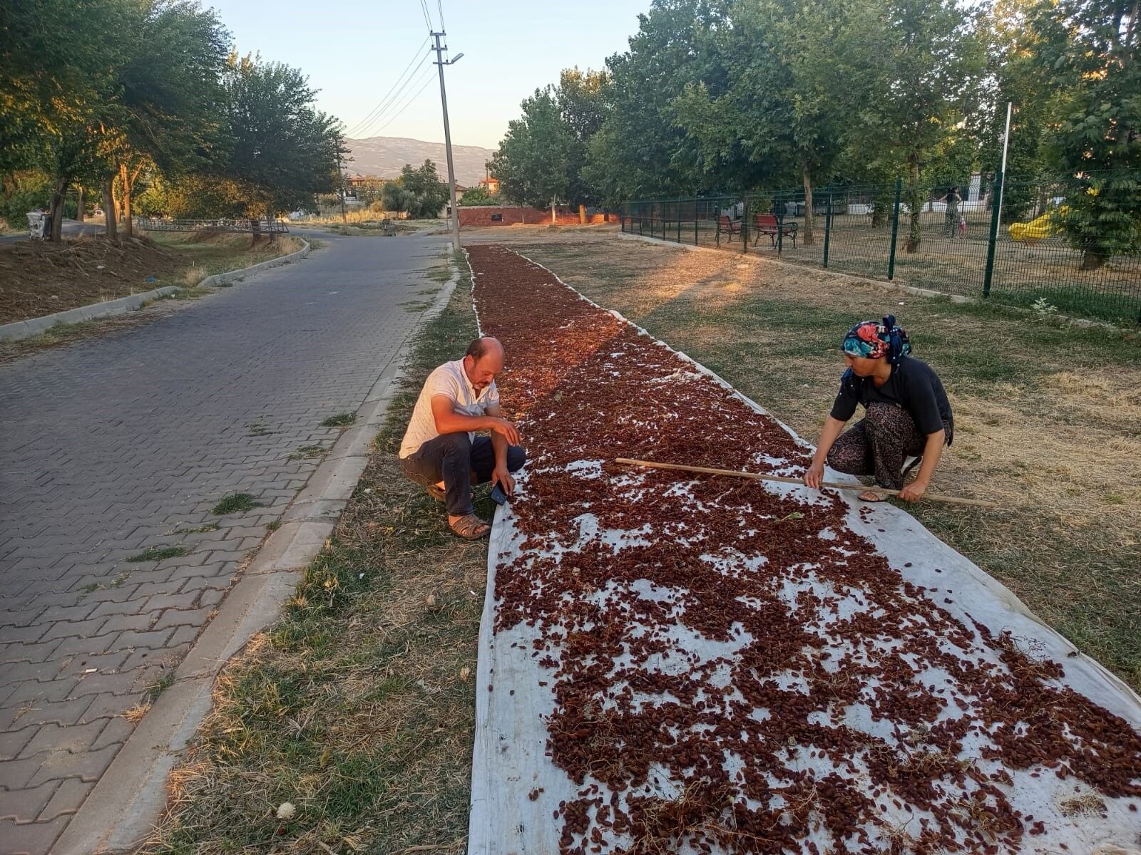 2026 Sezonunun Ilk Kuru Uzumu Cuvala Girdi Gozler Fiyata Cevrildi (3)