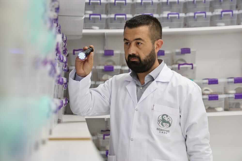Akrebin Zehri Kansere Umut Oluyor 5 Bin Akreple Dev Biyoteknoloji Hamlesi (2)