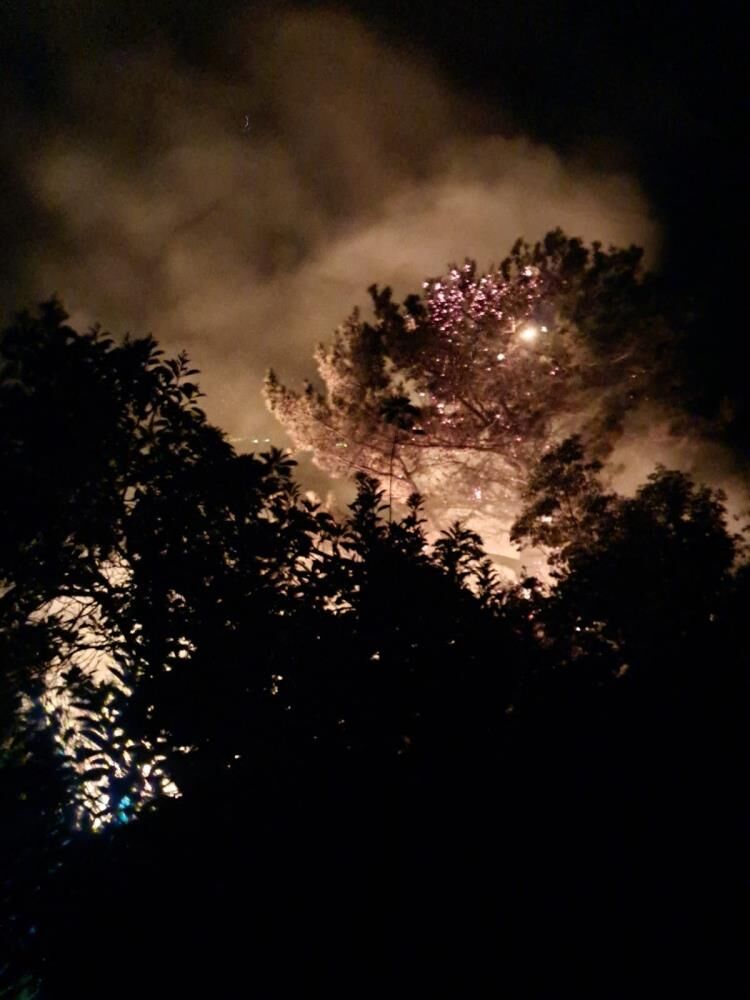 Alanya’da Gece Yarısı Orman Yangını! Sabah Kontrol Altına Alındı (2)