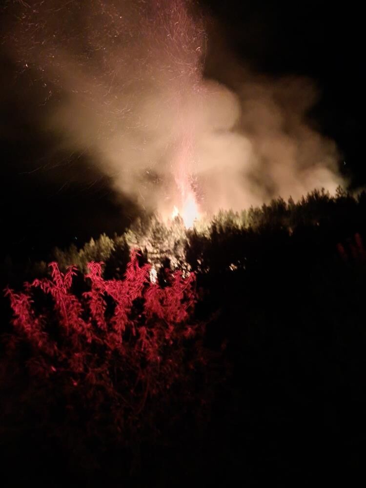 Alanya’da Gece Yarısı Orman Yangını! Sabah Kontrol Altına Alındı (3)