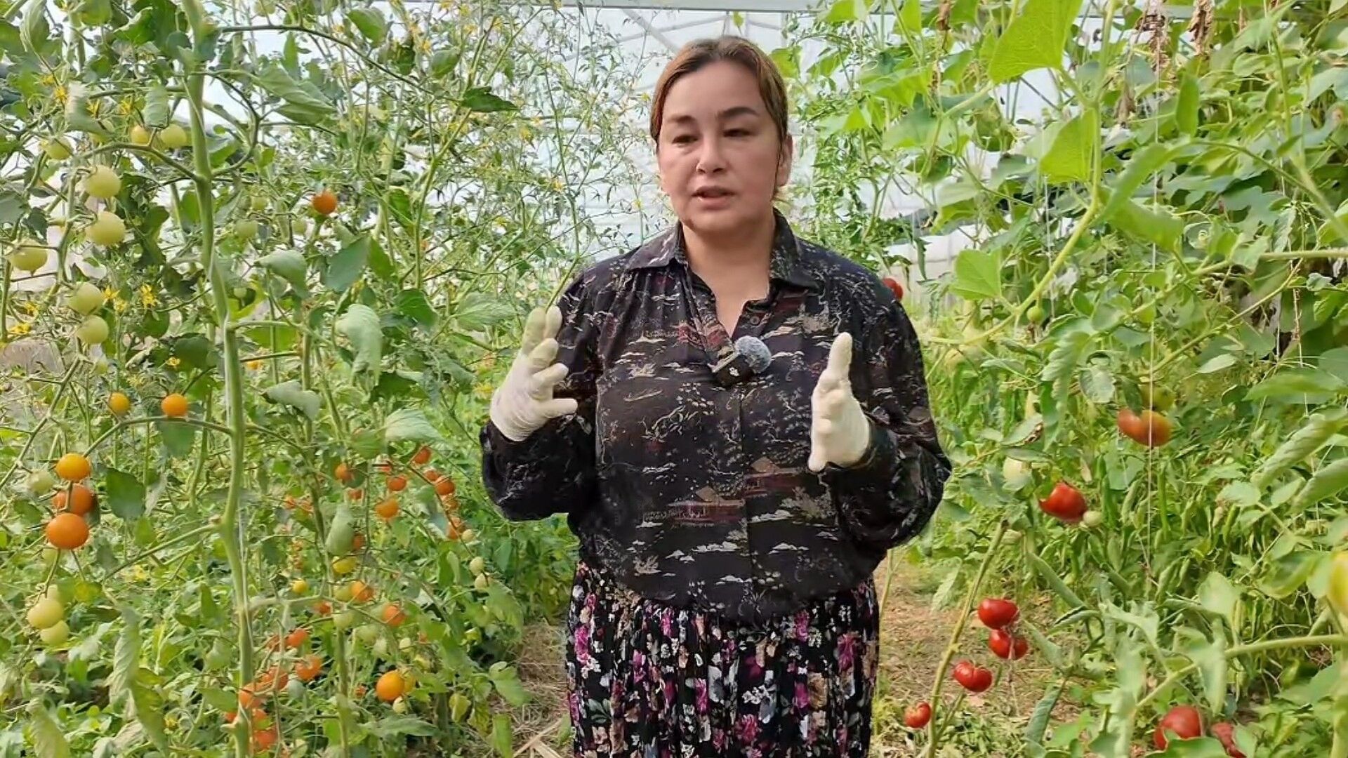 Diploması Yetmedi, Yeniden Üniversite Okudu! Hayalini Serasında Gerçeğe Dönüştürdü (3)