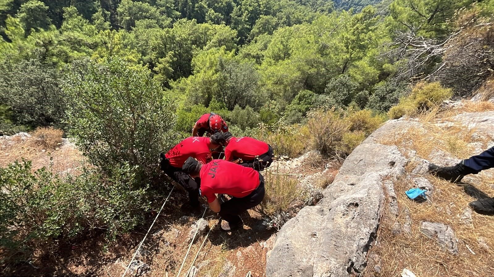 Ekipler Ormanlik Alanda Seferber Oldu Feci Sekilde Can Verdi (4)