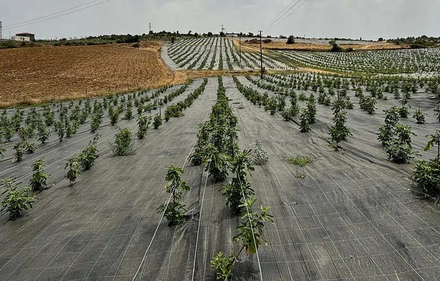 Gordes Bahce Bg1
