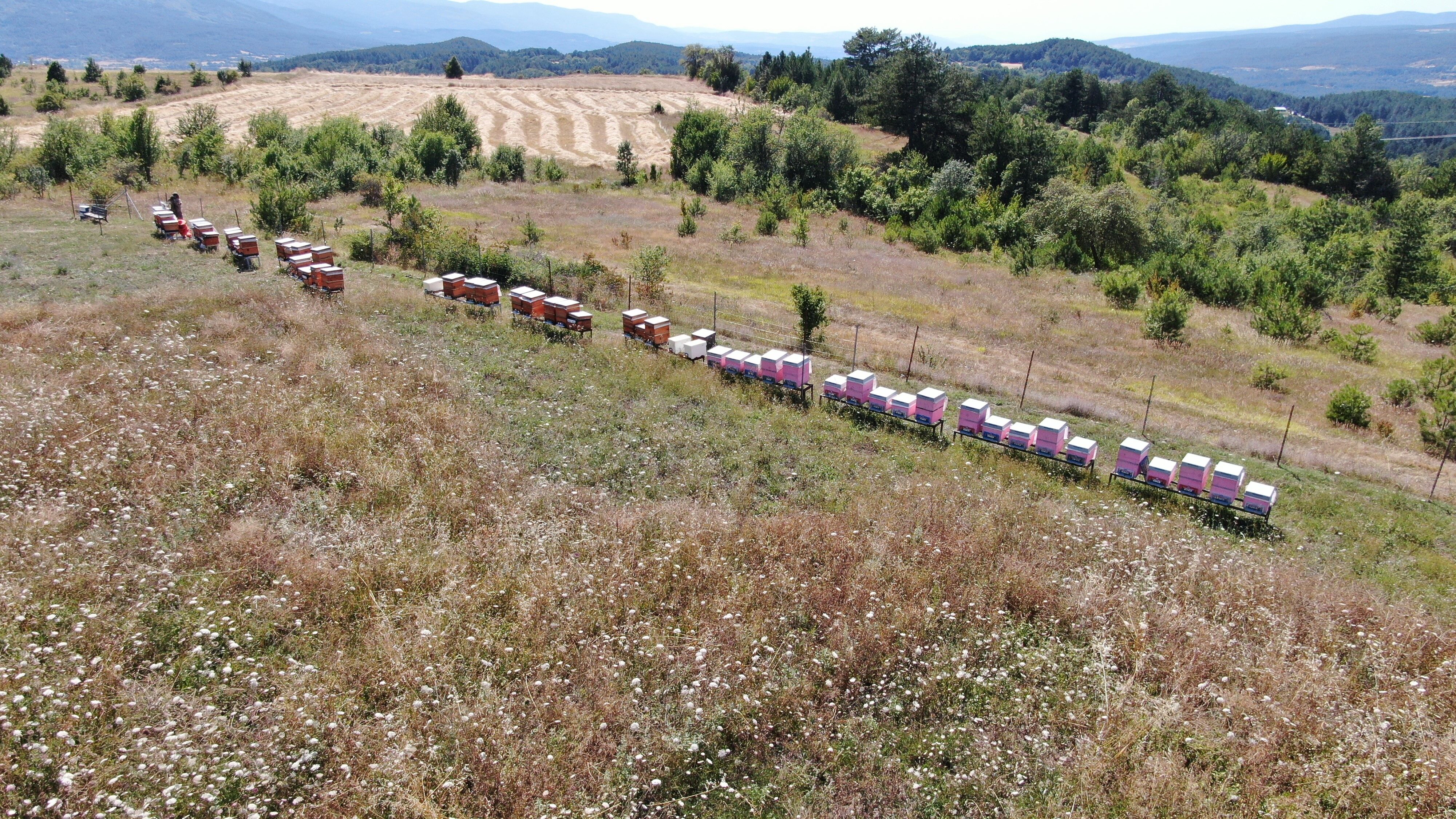 Hafta Sonları 450 Kilometre Yol Gidiyor! Merakla Başladı, Kendi Markasını Kurdu (6)