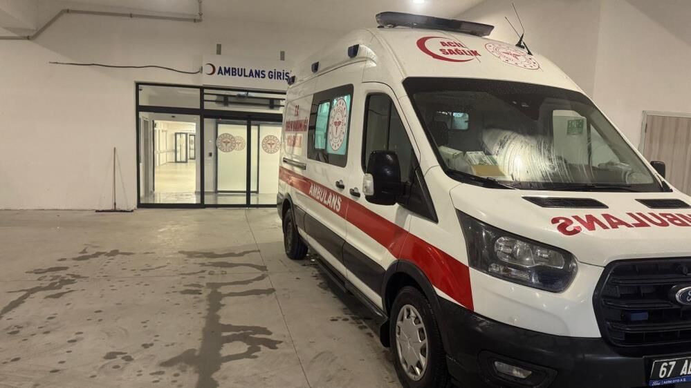 İncir Ağacından Düştü, Ağır Yaralandı (2)