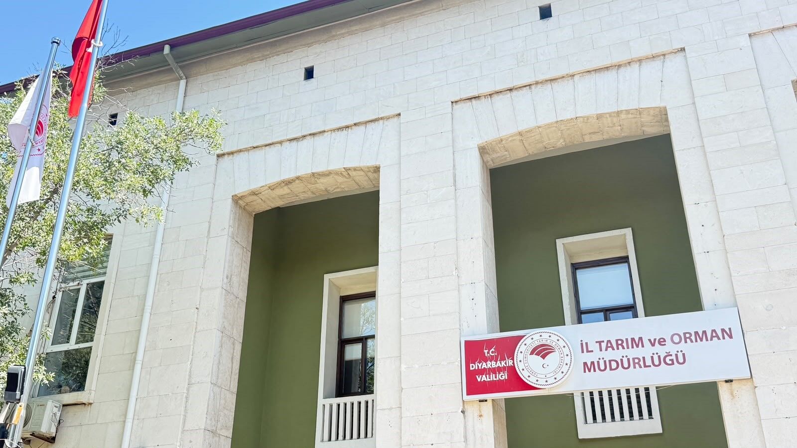 Kedi Isirigi Kabusa Dondu Cocuk Entube Edildi Test Sonucu Kuduz Cikti (3)