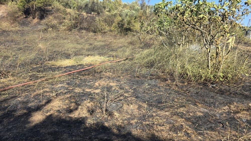 Korkutan Yangin Alevler Evlere Ulasmadan Sonduruldu (4)