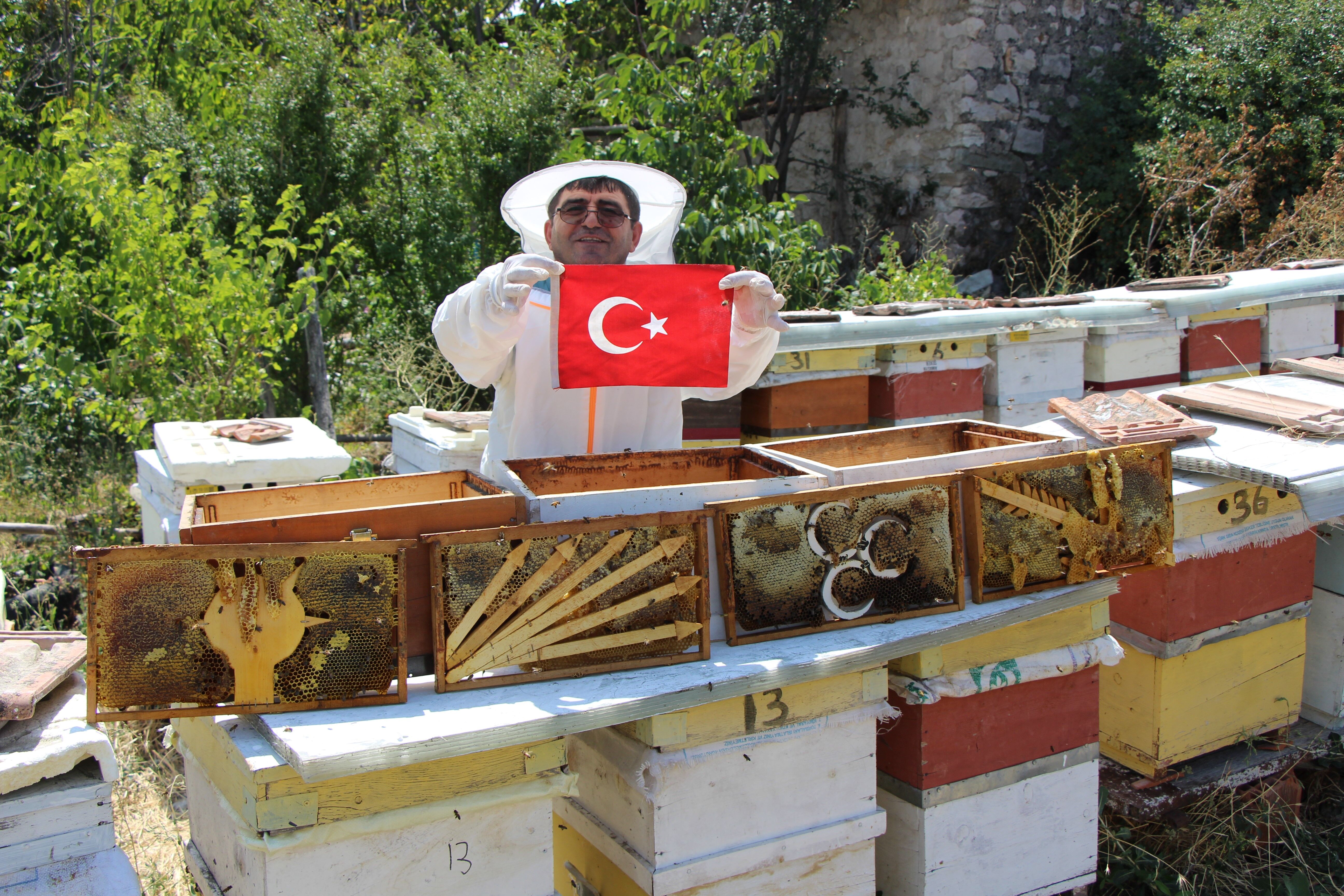 Kovan Sandik Kuruldu Arilarin Yaptigi Secim 7 Ay Sonra Sonuclandi (8)