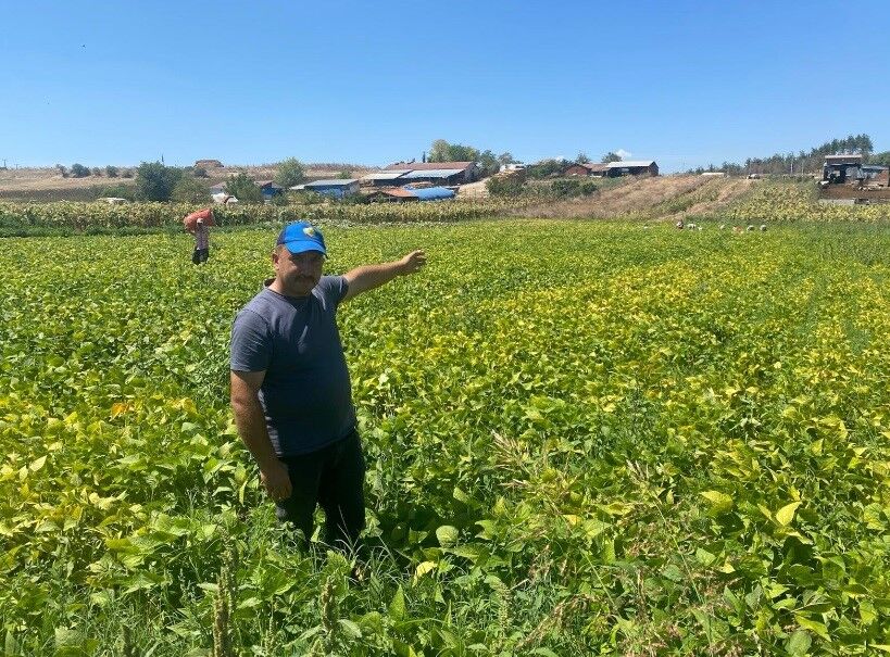Koylulerin Deneme Amacli Ektigi Urun Kapis Kapis Satiliyor (1)-1