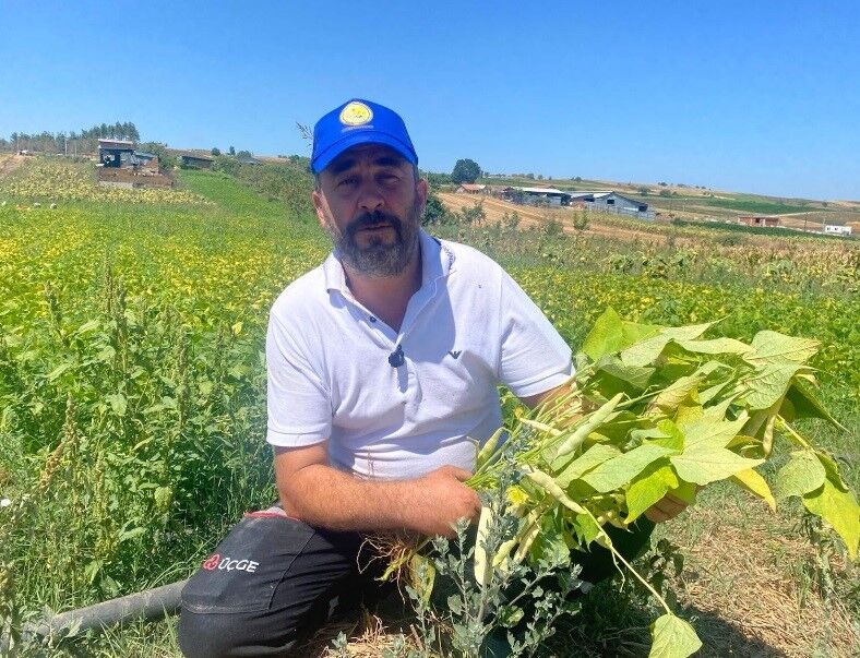 Koylulerin Deneme Amacli Ektigi Urun Kapis Kapis Satiliyor (2)
