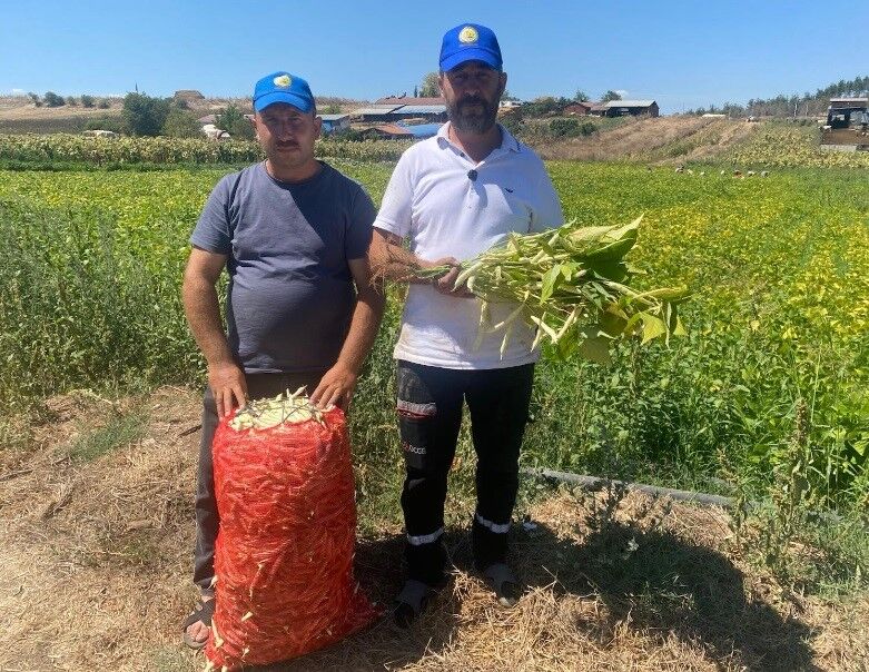 Koylulerin Deneme Amacli Ektigi Urun Kapis Kapis Satiliyor (4)