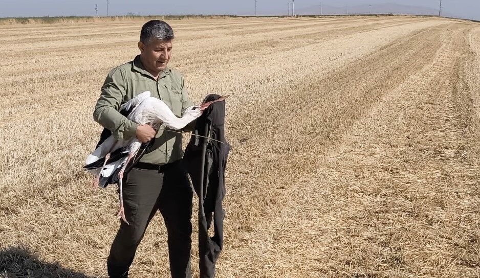 Leyleğin Vefası Yürekleri Burktu 5 Gün Boyunca Eşini Bekledi (3)