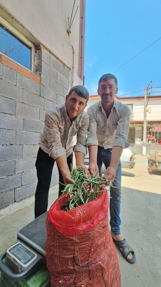 Manisada Bu Borulce Kapis Kapis Gidiyor Gunluk 3 4 Ton Satiliyor (2)