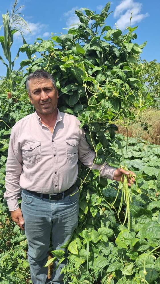 Manisada Bu Borulce Kapis Kapis Gidiyor Gunluk 3 4 Ton Satiliyor (4)