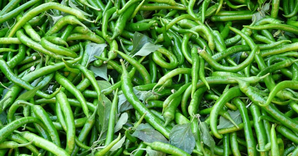 Markette Sivri Biber Ureticide Kuru Sogan Zam Sampiyonu Oldu (2)