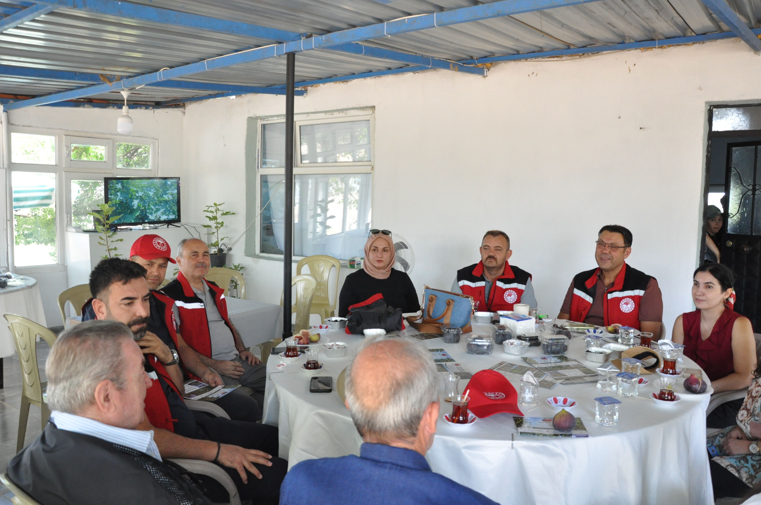Mor Mavi İncirler Dalından İndi! Gördes’te Renkli Hasat (2)