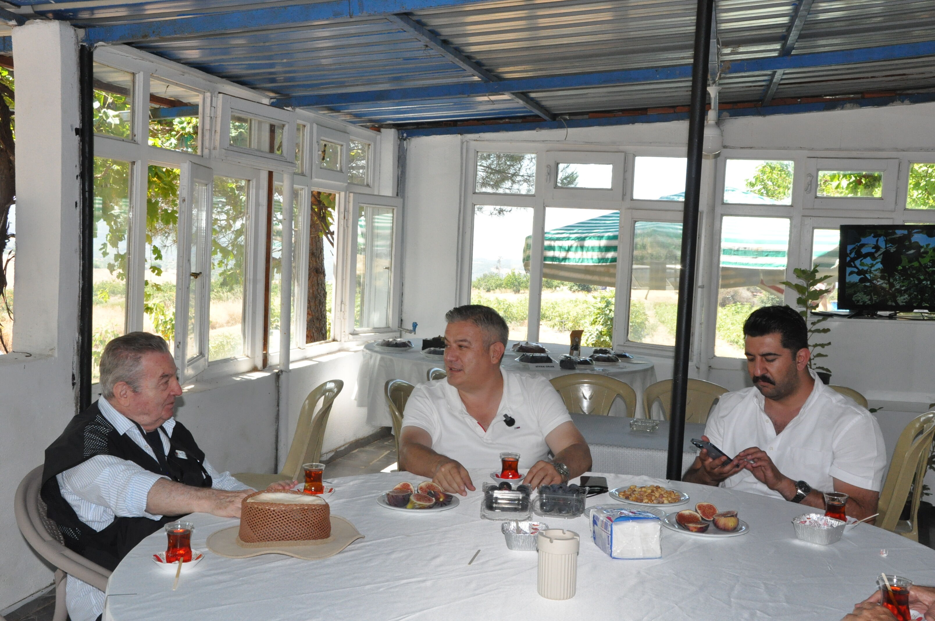 Mor Mavi İncirler Dalından İndi! Gördes’te Renkli Hasat (32)