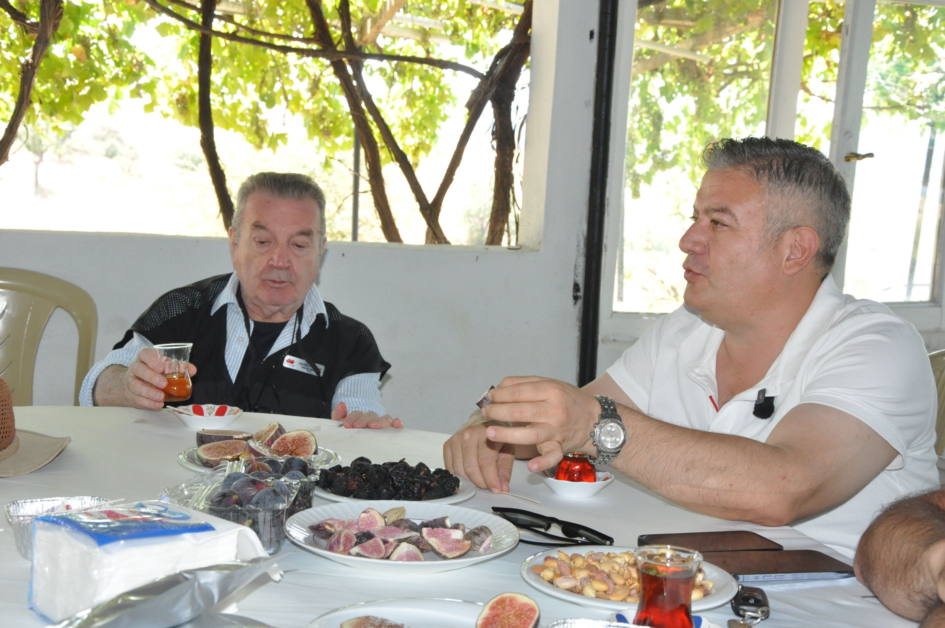Mor Mavi İncirler Dalından İndi! Gördes’te Renkli Hasat (34)