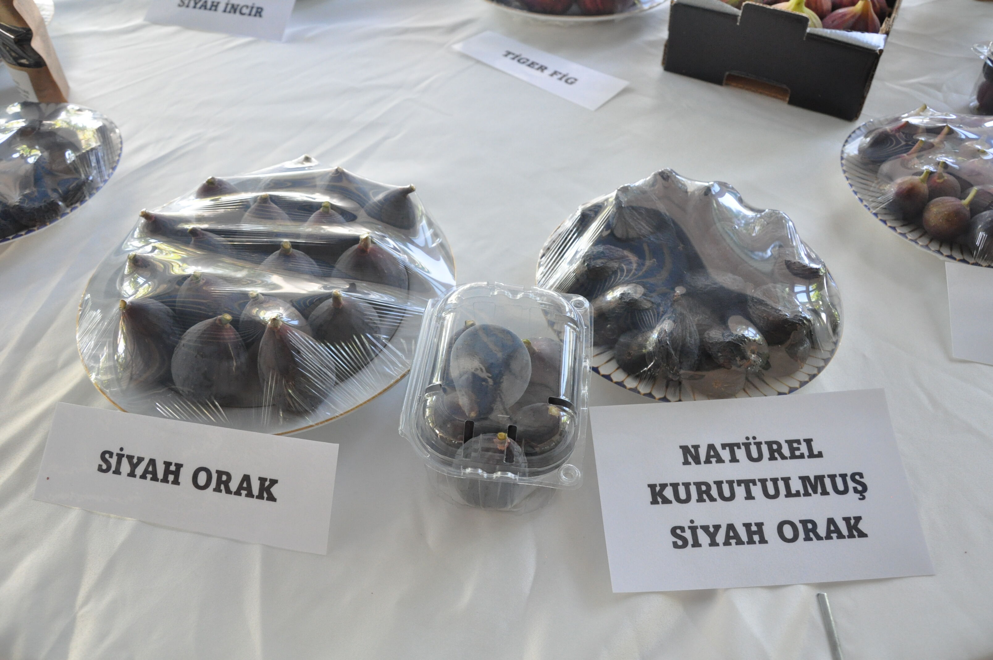 Mor Mavi İncirler Dalından İndi! Gördes’te Renkli Hasat (5)